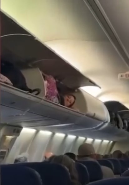  Choáng với người phụ nữ nằm khoang hành lý máy bay Mỹ 